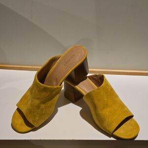 Aldo Mustard Suede Mules